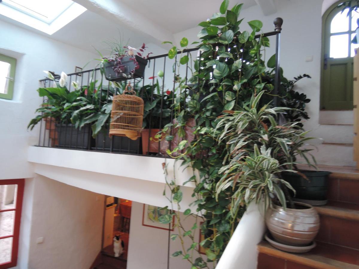 La Maison Bleue Sault-de-Vaucluse Zewnętrze zdjęcie
