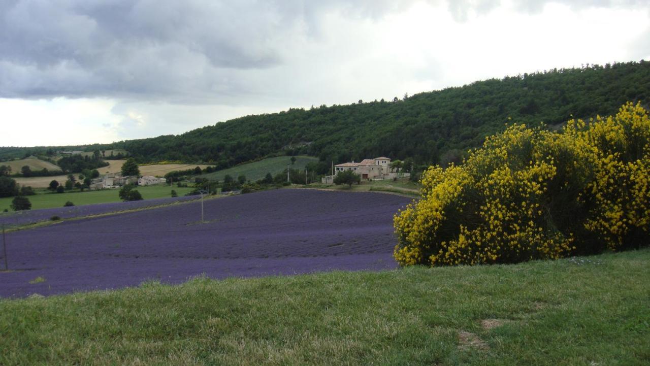 La Maison Bleue Sault-de-Vaucluse Zewnętrze zdjęcie